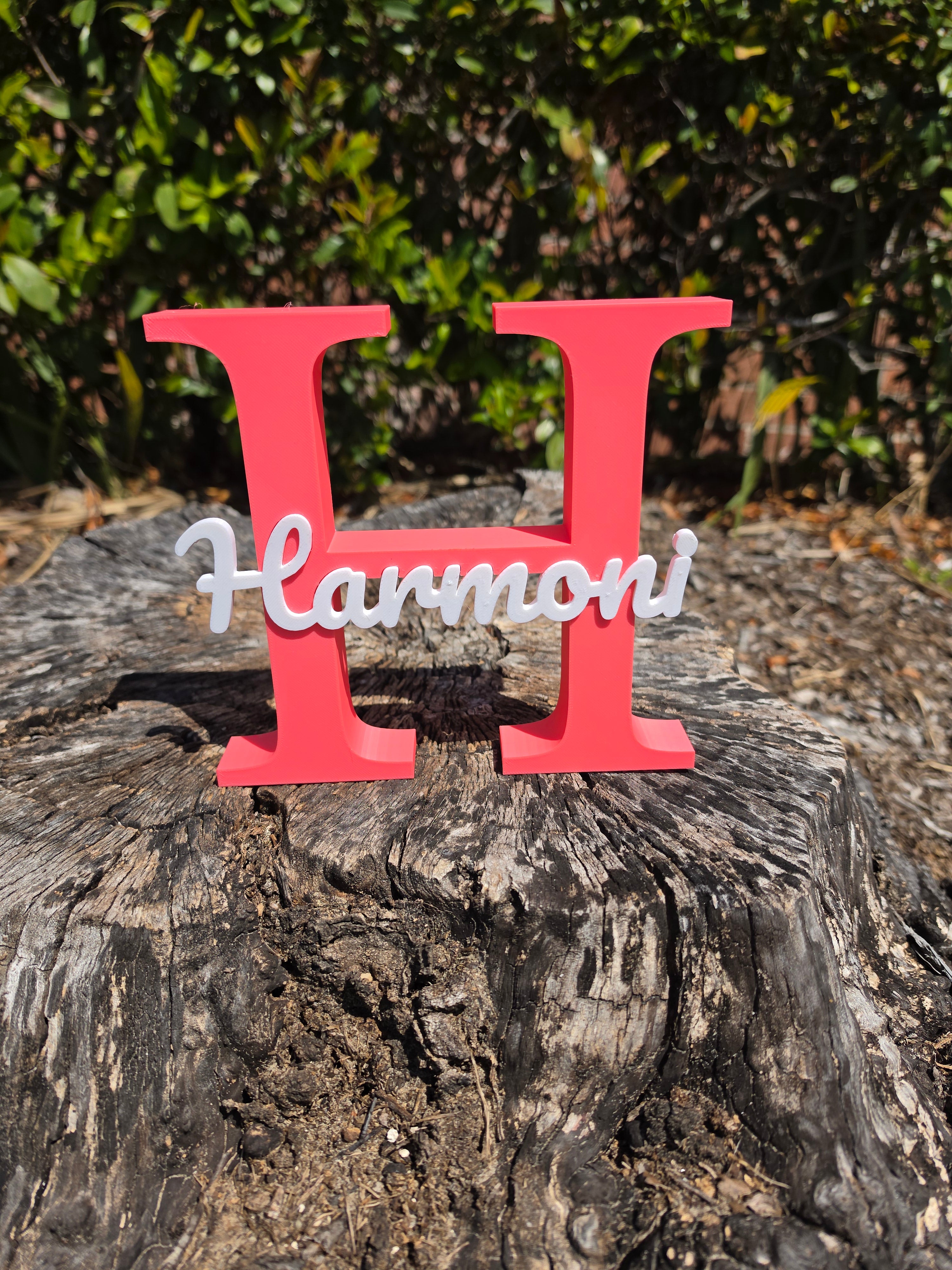Custom 3D Printed Name & Initial Stand