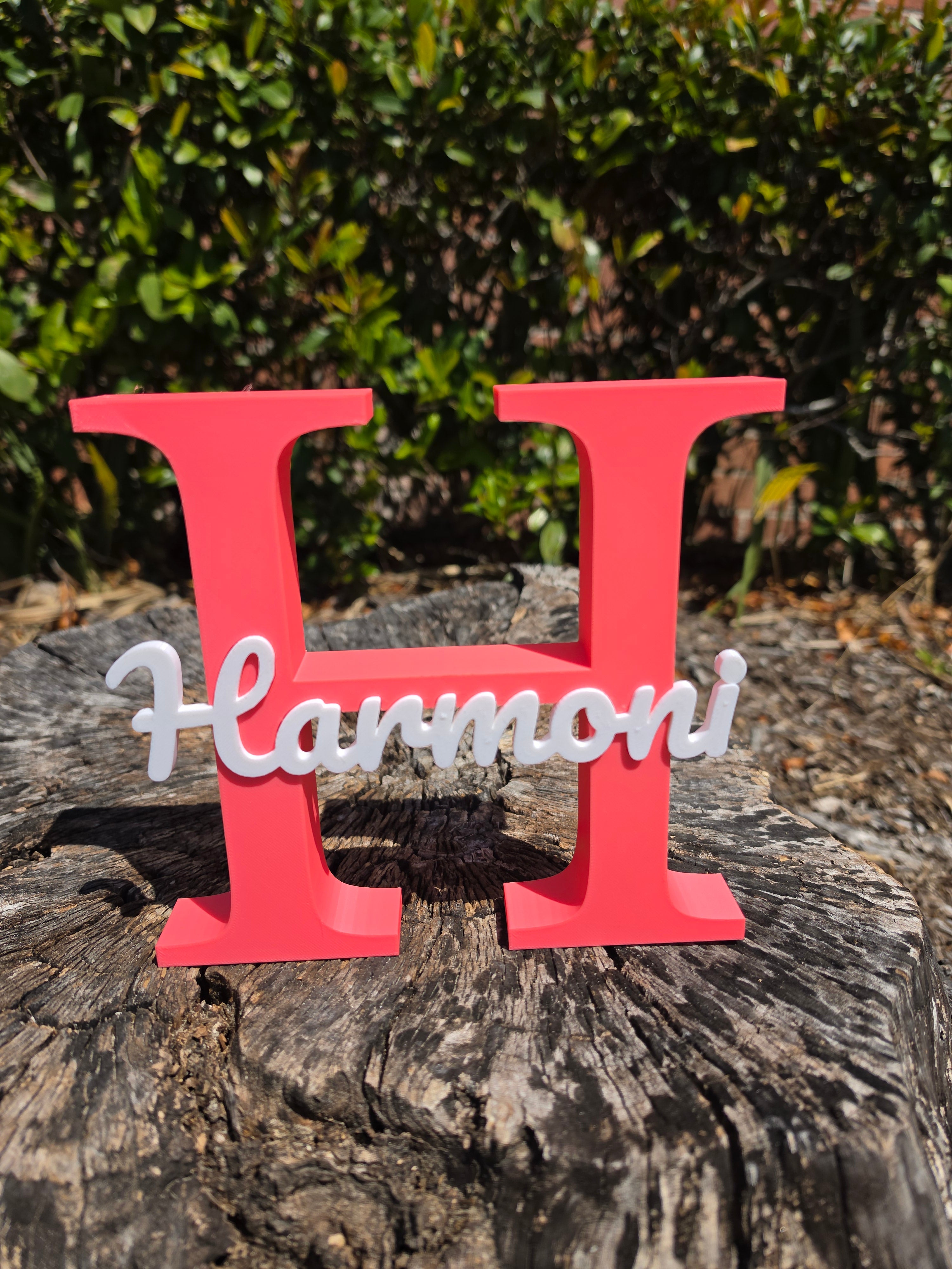 Custom 3D Printed Name & Initial Stand